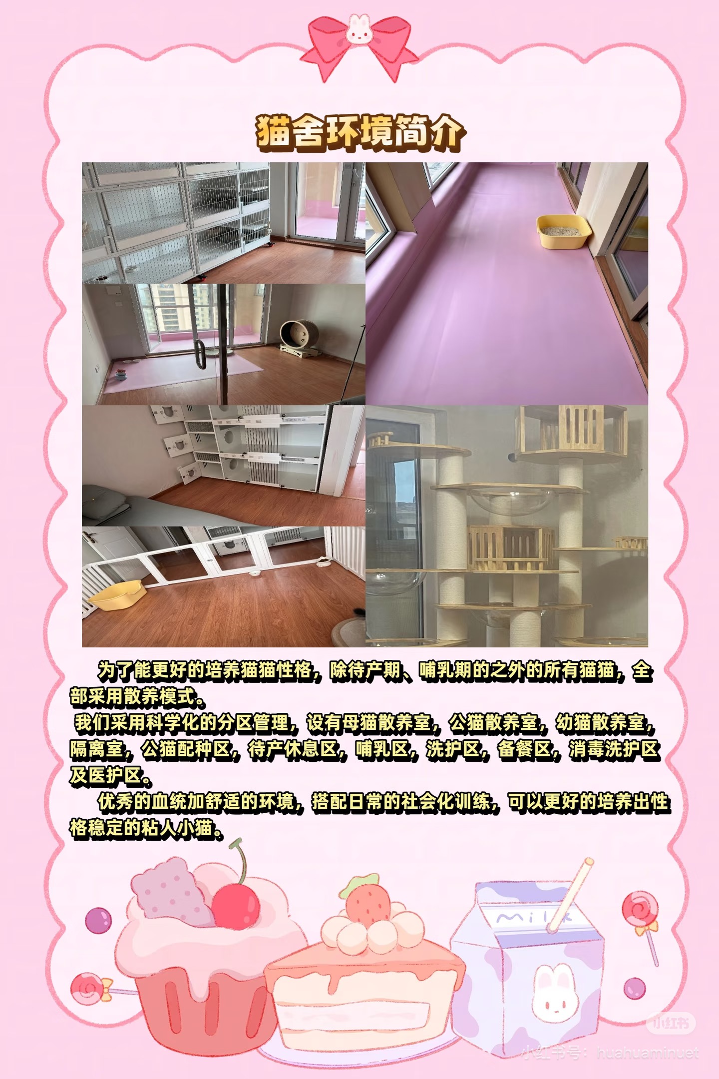 大花花的猫猫舍环境，展示分区管理和散养空间
