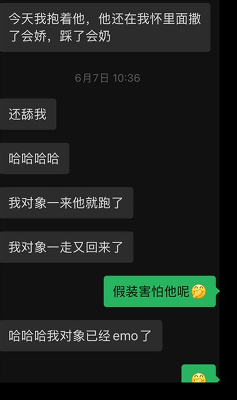 脱敏回访截图：接回家后开始撒娇、踩奶、靠近人