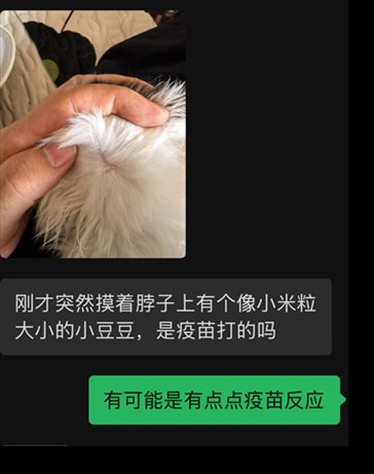 脱敏回访截图：疫苗反应和小疙瘩售后沟通