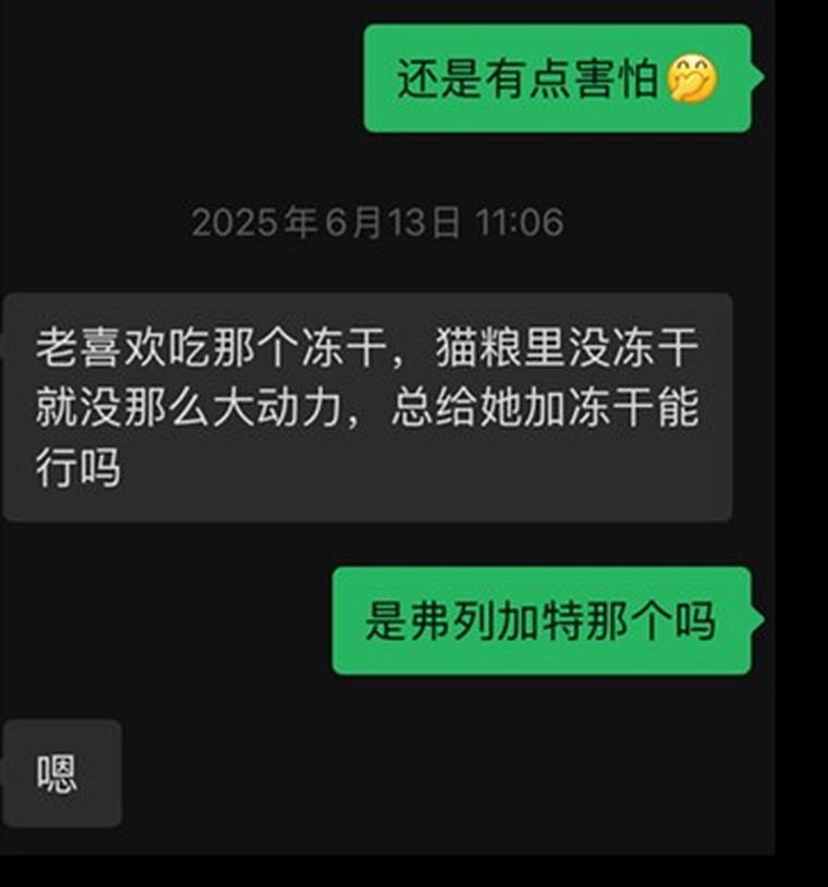 脱敏回访截图：接猫后聊到主粮、冻干和零食安排