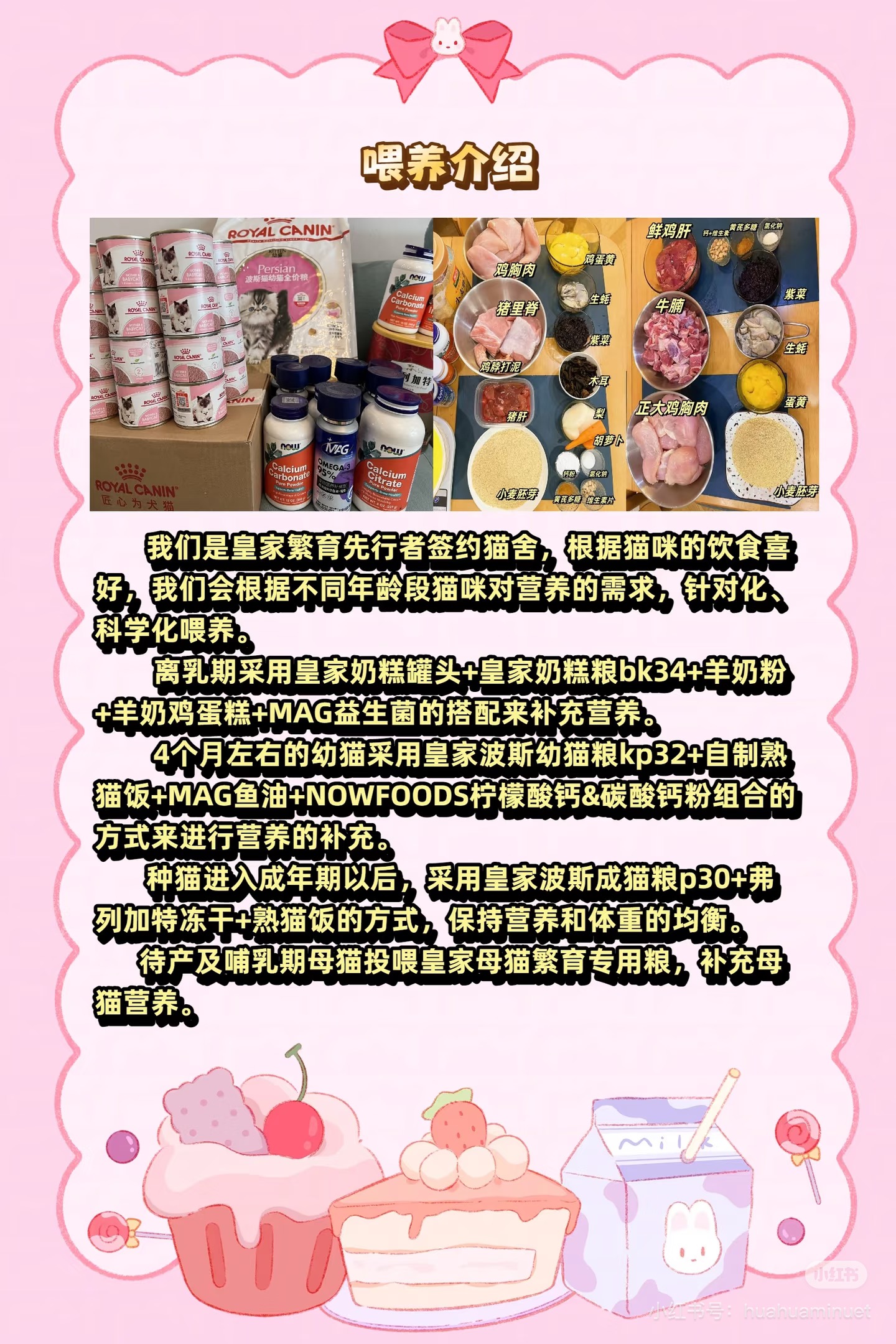 大花花的猫喂养介绍，展示不同阶段猫咪喂养方式