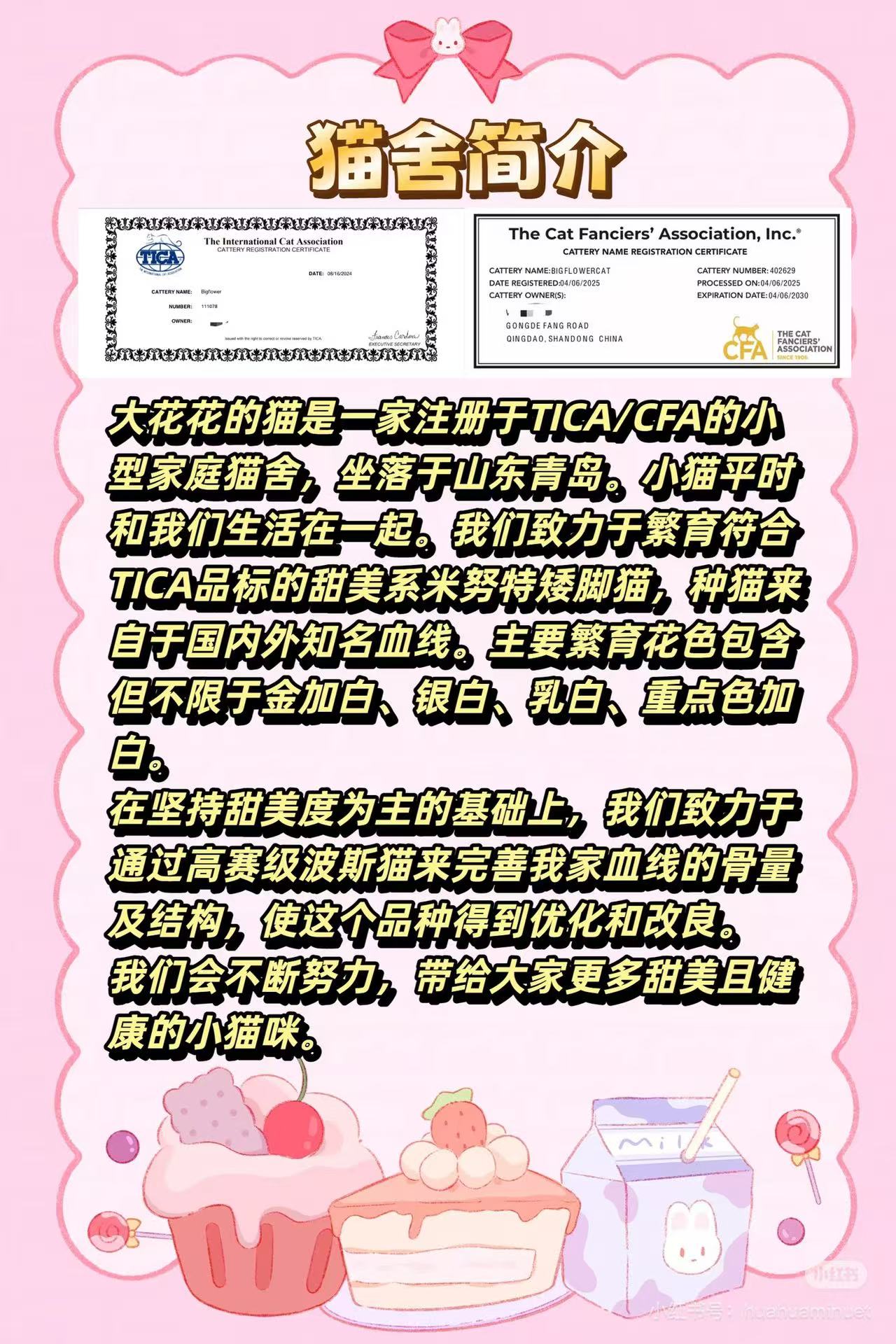 大花花的猫猫舍简介，展示 TICA/CFA 注册资料和基础介绍